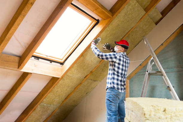 Best Commercial Insulation Services in Lewisburg, TN