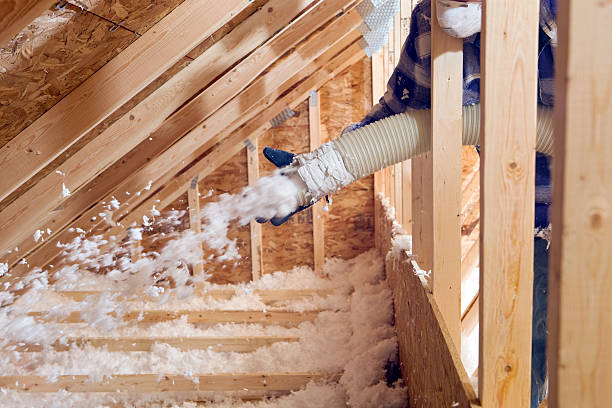 Reliable Lewisburg, TN Insulation Removal & Installation Solutions